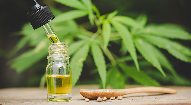 What You Need to Know About CBD